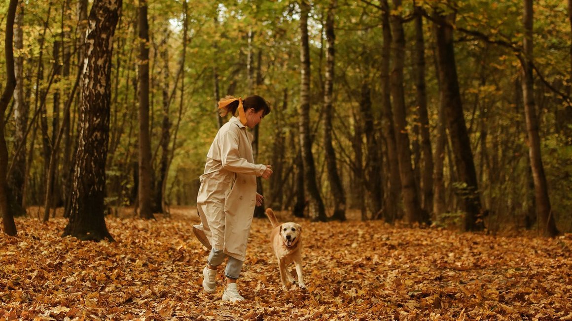 Ženska se igra s psom v gozdu